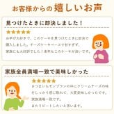 ＼早割！／ クリスマスケーキ クリスマスプレゼント 予約 2026 タルト モンブラン モンブランケーキ スイートポテト 大学芋 大学いも タルトケーキ Xmasケーキ 冷凍ケーキ お取り寄せ 5号 5人 6人 スイーツ お菓子 洋菓子 可愛い かわいい おしゃれ おいもや