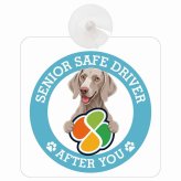 カーサイン 高齢者マーク SENIOR SAFE DRIVER ワイマラナー 車内用 吸盤タイプ 収れん火災防止タイプ 肉球 日本製 車 ステッカー