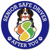 カーサイン 高齢者マーク SENIOR SAFE DRIVER バーニーズマウンテンドッグ マグネット 強力 直径13cm 肉球 日本製 車 ステッカー