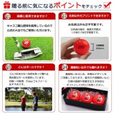 還暦 名入れ ゴルフボール 3球【カラーゴルフボール(赤) 3個】 男性 女性 ゴルフグッズ 60歳 赤 プレゼント 記念品 父の日 誕生日 還暦祝い キャスコ kasco 退職記念 父親 母親 敬老の日 ゴルフ好き 父 母 祖父 祖母 lk