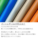 iphone14 ケース レザー リング付き iphone14Pro iphone14Plus iphone14ProMAX 本革 magsafe マグセーフ対応 14 14pro 14plus 14promax アイフォン14 アイフォン14promax スマホリング リング スタンド ヒョウ柄 レオパード スリム メタリック レディース ブラック 送料無料