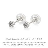 プラチナ ピアス レディース 白金 ダイヤモンド 一粒 0.2ct Pt900 片耳のみの購入可 誕生日 記念日 プレゼント 彼女 妻 サプライズ RME-TAC-20PD ギフト