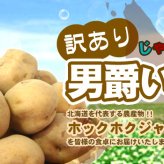 じゃがいも 訳あり北海道 じゃがいも 男爵いも S-Mサイズ 9.5-10kg前後 送料無料 ※沖縄は送料別途加算