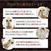 しめ縄 国産 日本製 おしゃれ 注連縄 しめ飾り 正月飾り 玄関 モダン 水引 リース 市松扇 迎春 お正月飾り 干支 十二支 門松 .しめ縄.