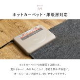 ラグ 洗えるラグマット 小さい 小さめ 綿 インド綿 コットン おしゃれ ウレタン入り 裏面滑り止め ホットカーペット対応 床暖房対応 折りたたみ オールシーズン 前 タッセル付き 約130×185cm インテリア 敷物 ウレタンフォーム 綿100%