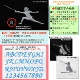 フェンシング Tシャツ オリジナル デザイン 刺繍 イニシャル 名入れ ギフト 半袖 男女 兼用 誕生日 お祝い プレゼント 父の日 母の日 参加 記念 景品 名前 卒業 卒部 チーム グループ 送別会 【送料無料】