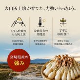 宮崎産らっきょう 甘酢 80g×3袋
