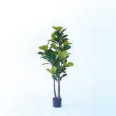 観葉植物 造花 カシワバゴム BROWN 全高約150cm 大型 ゴムの木 フェイクグリーン 本物そっくり おしゃれ インテリア 人工観葉植物 アーティフィシャルグリーン オフィス 店舗 ホテル 開店祝い 室内 フィドルリーフ フェイク