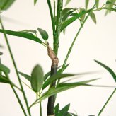 観葉植物 造花 バンブー BROWN 全高約180cm 大型 フェイクグリーン 高級 本物そっくり リアル おしゃれ 和風 和モダン インテリア 人工観葉植物 アーティフィシャルグリーン オフィス 店舗 ホテル 旅館 開店祝い 室内 リビング 玄関 風水 竹 フェイク