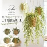 CT触媒 フェイクグリーン ハンギング 通販 キシマ アーティフィシャルグリーン 観葉植物 フェイク グリーン 吊り下げ バスケット 壁掛け 人工観葉植物 消臭 ハンギングバスケット 小さめ 小型 おしゃれ リビング リアル kishima 造花 インテリア