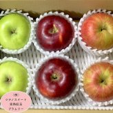 旬の信州りんご3種セット 店長おすすめの2kg（3種×2玉）
