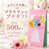 七五三祝い 写真入りオリジナルクッション 子供 孫 家族写真 誕生日 敬老の日 記念日 成長記録 3歳 5歳 7歳 男の子 女の子 着物 和装 祖父母 おじいちゃん おばあちゃん オーダーメイド 写真プリント インテリア雑貨 記念品 家族の思い出 入園祝い 卒園祝い 入学祝い 母の日 父の日 長寿祝い 還暦祝い 古希祝い 喜寿祝い 米寿祝い 出産祝い 内祝い サプライズギフト オリジナルグッズ