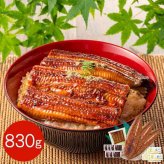 うなぎ 蒲焼 国産 鹿児島県産 特大 830g セット 長焼き 250g 2尾 カットうなぎ 80g 鰻 ウナギ 蒲焼き 冷凍 食品 ギフト プレゼント お祝い お取り寄せ グルメ