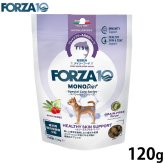 フォルツァ10 FORZA10 ドッグフード スペシャルケア アダルトミニ ヘルシースキン 120g