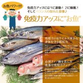 若狭カレイ 一塩干し ミニサイズ 3尾 3セット 6セット カレイ 一夜干し 保存料不使用 干物 天神講 天神様