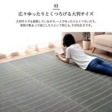 ラグ 長方形 い草 自然素材 シンプル ボーダー 裏面すべり止め付き 滑りにくい 抗菌防臭 約6畳 約240×320cm