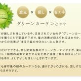 アイアンフェンス アイアン製グリーン アーガイル フェンス アイアン グリーンフェンス ゴーヤ 薔薇 バラ 朝顔 庭 ベランダ ガーデニング 枠 柵 仕切り 目隠し 境目 アンティーク トレリス 園芸 ラティス 屋外 ガーデンフェンス 目隠しフェンス 新生活