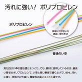日本製 水拭きできる ポリプロピレン 置き畳 ユニット畳 軽量 軽い シンプル 67×67×1.7cm (6枚1セット)