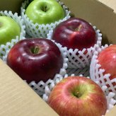 旬の信州りんご3種セット 店長おすすめの2kg（3種×2玉）