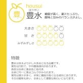 予約販売 訳あり 梨 千葉県市川産 いちかわの梨 5kg 幸水 豊水 秋月 B級品 自宅用 家庭用 和梨 なし フルーツ 果物 旬の味覚 お取り寄せ グルメ お盆 暑中見舞い 残暑見舞い