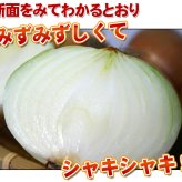 たまねぎ 送料無料 10kg 玉ねぎ 玉葱 タマネギ 北海道産 Lサイズ ※沖縄送料別途加算
