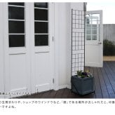 ガーデン エクステリア プランター台付フェンス ロータイプ 「グラフ」 フェンス ゲート 扉 アイアン ガーデニング 枠 柵 仕切り 目隠し 格子 ベランダ つる 薔薇 バラ 朝顔 園芸 ラティス つるバラ 庭 屋外 新生活
