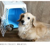 ハンガーボウル S 2607sale