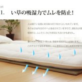 ベッド 寝具 マットレス セミダブル 三つ折り い草 置き畳 国産 『い草マットレス』 約120×210cm （裏:不織布）