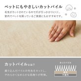 ラグ カーペット お医者さんがすすめる AskDoctors アスクドクターズ 抗菌プラチナ加工 江戸間 3帖 3畳 抗菌 防臭 防カビ 抗ウイルス 消臭 タフト 敷き詰め 無地 マット オールシーズン 年中