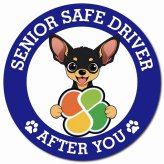 カーサイン 高齢者マーク SENIOR SAFE DRIVER スムースコートチワワ マグネット 強力 直径13cm 肉球 日本製 車 ステッカー