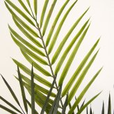 観葉植物 造花 アレカヤシ BROWN 全高約70cm 卓上・小型 フェイクグリーン 本物そっくり おしゃれ インテリア 人工観葉植物 アーティフィシャルグリーン オフィス 店舗 ホテル 開店祝い 室内 ミニ アレカパーム ヤシの木 フェイク
