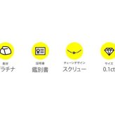 純プラチナ Pt999 0.1ct 一粒 ダイヤモンド ネックレス ペンダント スクリューチェーン 鑑別書付 ジュエリー レディース プレゼント ギフト ラッピング 記念日 誕生日