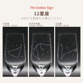 星座のグラス 「ラインストーンきらめく 12星座のタンブラーグラス／ペアセット 」
