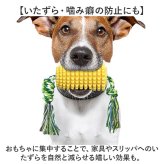 デンタルケア 通販 犬用歯ブラシ 音が出るおもちゃ トウモロコシ型 引っ張りロープ 強力吸盤付き ストレス解消 運動不足解消 犬用知育玩具 壊れないおもちゃ 耐久性抜群 小型犬用おもちゃ 中型犬用おもちゃ 大型犬用おもちゃ ペット用玩具 犬用噛むおもちゃ