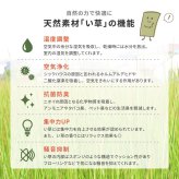 【同色9枚セット】 置き畳 四季 約82×82×1.5cm 9枚入 縁なし へりなし畳 フロア畳 ユニット畳 い草 カラフル 滑り止め付き