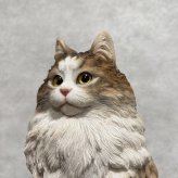 WooBia ウービア 猫 置物 お座りノルウェージャンフォレストキャット マスターズエディション 高さ29.5cm リアル 長毛 ネコ アニマルオブジェ 玄関 リビング インテリア 猫好き 新築祝い 開店祝い 退職祝い プレゼント ギフト