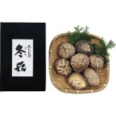 【直送】国産原木乾椎茸どんこ 25g [26-7619-015] KD-15 干ししいたけ しいたけ 乾物 原木栽培 肉厚 風味 旨み 贈り物 内祝い お返し 粗品 景品 プチギフト プレゼント ギフト