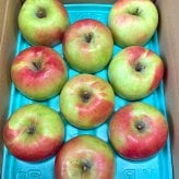 長野県産りんご ぐんま名月 秀品 ご贈答 果物 フルーツ お取り寄せ 産地直送 【送料無料(一部地域除く)】
