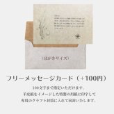 メリーマイヤー パティ シャドーパンダ S 18cm テディベア クマ | ぬいぐるみ ナチュラルカラー 動物 どうぶつ ファーストトイ ベビー 赤ちゃん こども Mary Meyer Putty 正規輸入品