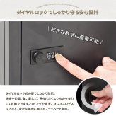 ロック付き収納 レクタンボックスS ONLS0393 ダイヤルロックキー付き 幅30cm 奥行36cm 高さ30cm リビング収納 韓国スタイル カジュアル 角型 スチール 鍵付き収納 鍵付きロッカー パーソナル収納 書類収納 小物整理 オフィ