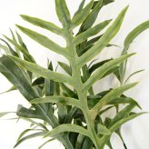 観葉植物 造花 フレボディウム BROWN 全高約65cm 卓上・小型 フェイクグリーン 本物そっくり おしゃれ インテリア 人工観葉植物 アーティフィシャルグリーン オフィス 店舗 ホテル 開店祝い 室内 ミニ ブルースター シダ フェイク