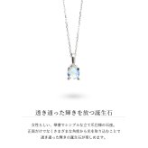 ムーンストーン ネックレスプラチナ ネックレス 6月誕生石 一粒 PT950 プラチナ950 白金 チェーン 長さ選べる 40cm 45cm 50cm ギフトラッピング可能 シンプル 華奢 上品 Rapture 彼女 妻 女性 レディース 誕生日 プレゼント ハロウィン 【品番：CG-RSP-29051PT-6】