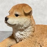 犬の置物 寝そべる秋田犬 横幅31cm woobia ウービア 大きい かわいい おしゃれ ガーデン インテリア オブジェ 可愛い プレゼント 北欧 玄関 雑貨 動物 モダン 面白い 庭 ギフト 屋外 家 リアル 玄関先 ガーデンオーナメント