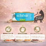 Schesir シシア マルチパック ツナ 猫缶 キャットフード 50gX6P缶パック×8個