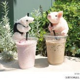 吉徳 ぬいぐるみ くっつきたい ブタ ぶた 豚 抱きつき 人形 癒しグッズ 手乗りサイズ かわいい マスコット 子供 贈り物 ギフト プレゼント 誕生日 6歳以上