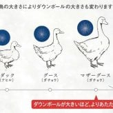 掛け布団 羽毛布団 クイーン 西川 ホワイトダック ダウン 85% 抗菌加工 肌掛け布団 合掛け布団 デュエット 年間使える オールシーズン 暖か クイーンロング 210×210cm ホワイト 白 無地 シンプル スリーピュア 軽量で柔らかい生地を使用し