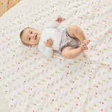 おくるみ スワドル 4枚セット 出産祝い aden+anais エイデンアンドアネイ エレファントサーカス コットンモスリン ダブルガーゼ 大判 約112cm 新生児 退院 内祝い 出産内祝い 男の子 女の子 ギフト 専用ボックス入り ガーゼケット ブランケット 授乳ケープ おむつ替えシート