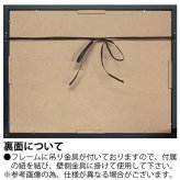 X RAY キャンバスアート エバーラスティング フラワーM XR-12505 送料無料 アートフレーム 花 葉っぱ 葉 X線 絵画 アート インテリア