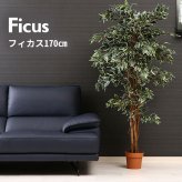 ガーデン エクステリア 観葉植物 フィカス １１２４ Ｂ フェイクグリーン 植物 緑 グリーン 癒し 植木 インテリア ガーデニング おしゃれ カフェ リビング プランター ギフト プレゼント 贈り物 オフィス 会社 枯れない 簡単 手入れ 人気 樹木