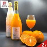 愛媛 エヒメエンゲージファーム せとかジュース 2本 フルーツジュース 果汁飲料 ストレート ジュース 国産